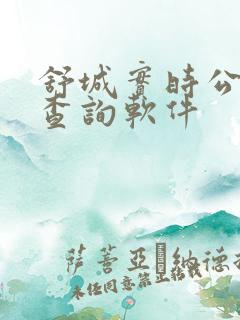 舒城实时公交车查询软件