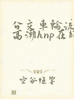 公交车轮流澡到高潮hnp在线观看