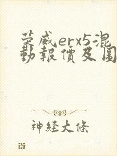 荣威erx5混动报价及图片
