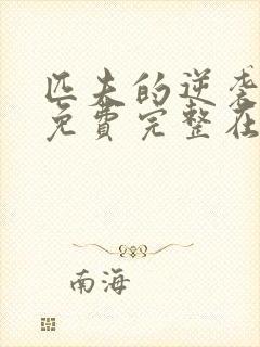 匹夫的逆袭小说免费完整在线阅读
