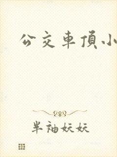 公交车顶小说