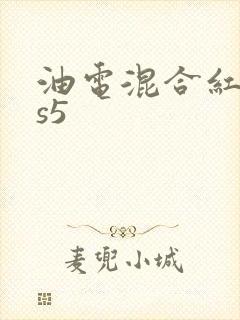油电混合红旗hs5