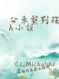 公车系列强制高h小说