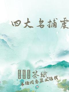 四大名捕震关东