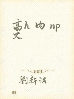 高h 肉 np文