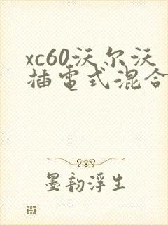 xc60沃尔沃插电式混合动力