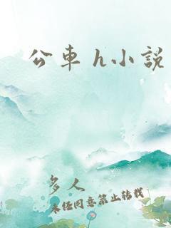 公车 h小说