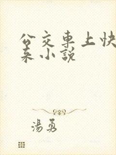 公交车上快插进来小说