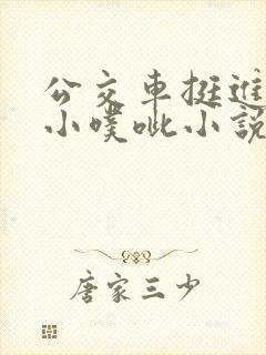 公交车挺进她的小噗呲小说