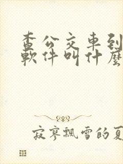 查公交车到站的软件叫什么