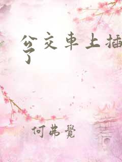 公交车上插进去了