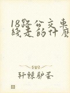 18路公交车路线走的什么路