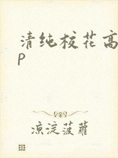 清纯校花高hnp
