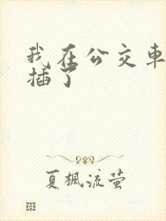 我在公交车上被插了