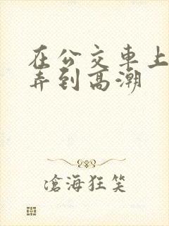 在公交车上被人弄到高潮