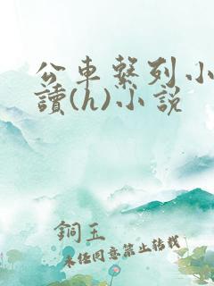 公车系列小说阅读(h)小说
