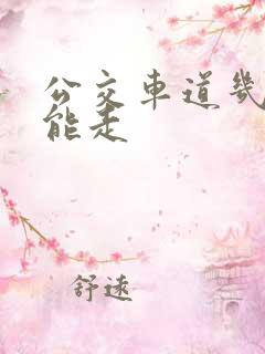 公交车道几点不能走