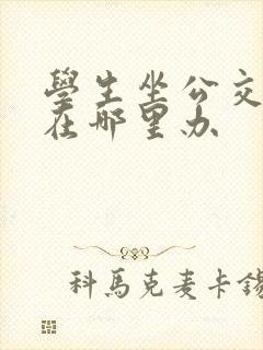 学生坐公交车卡在哪里办
