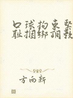 口球拘束紧缚羞耻捆绑调教小说