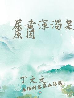 尿黄浑浊是什么原因