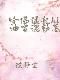 哈佛猛龙hi4油电混动怎么样