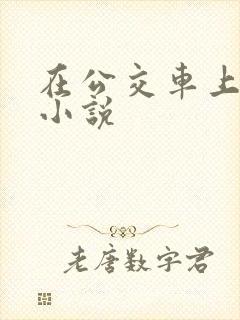 在公交车上被摸小说