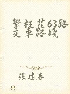 攀枝花63路公交车路线