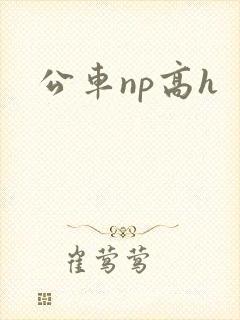 公车np高h