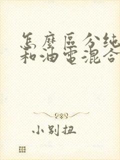 怎么区分纯电车和油电混合