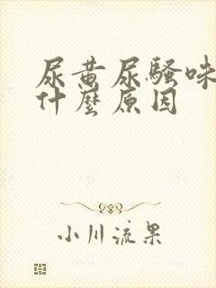 尿黄尿骚味重是什么原因