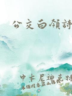 公交白领诗晴