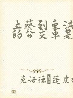 上蔡到东洪最晚的公交车是几点