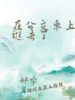 在公交车上被插进去了