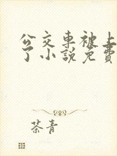 公交车被上高潮了小说免费阅读