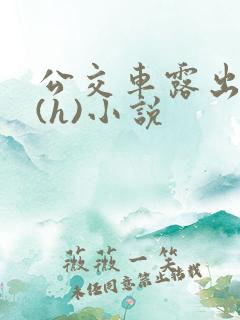 公交车露出调教(h)小说