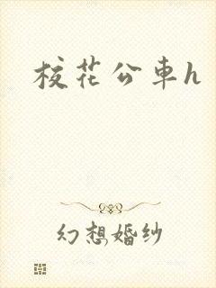 校花公车h
