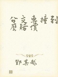 公交车撞到人怎么赔偿