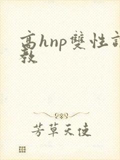 高hnp双性调教