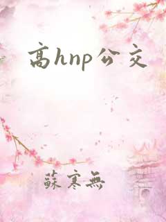 高hnp公交