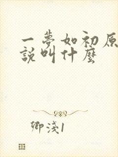 一梦如初原著小说叫什么