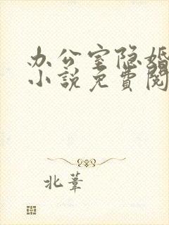 办公室隐婚全本小说免费阅读
