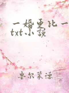 一婚更比一婚高txt小说
