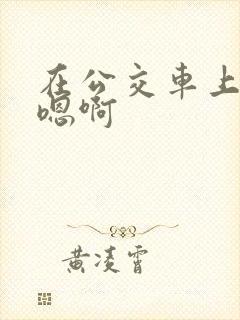 在公交车上嗯啊嗯啊