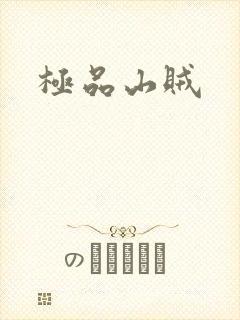 极品山贼