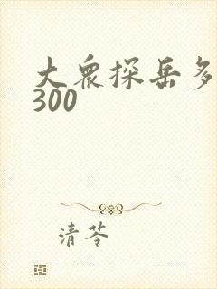 大众探岳多少钱300