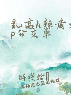 乱高h辣黄文np公交车