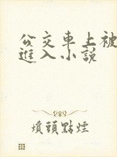 公交车上被强行进入小说