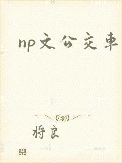 np文公交车