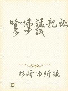 哈佛猛龙燃油版多少钱