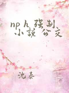 np h 强制 小说 公交